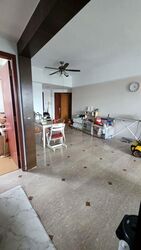 Signature Park (D21), Condominium #495584781